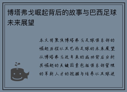 博塔弗戈崛起背后的故事与巴西足球未来展望